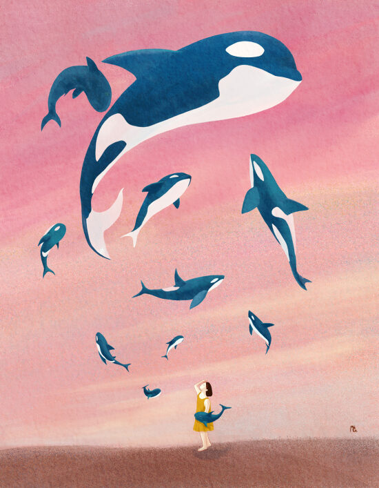 Chemin de la baleine