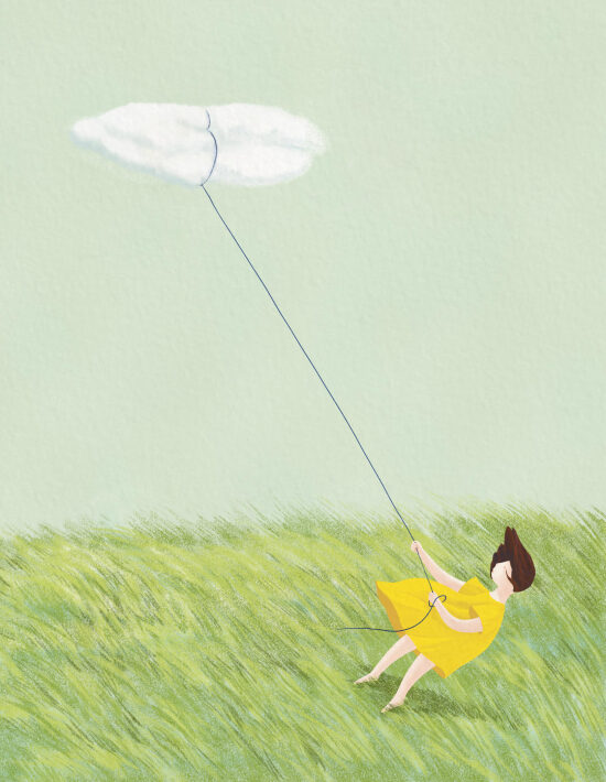 cerf volant